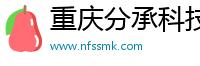 重庆分承科技